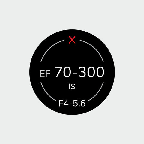 Pro Lens Indicator Sticker for Canon EF - Single