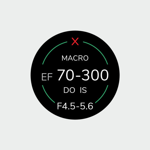 Pro Lens Indicator Sticker for Canon EF - Single