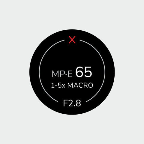 Pro Lens Indicator Sticker for Canon EF - Single